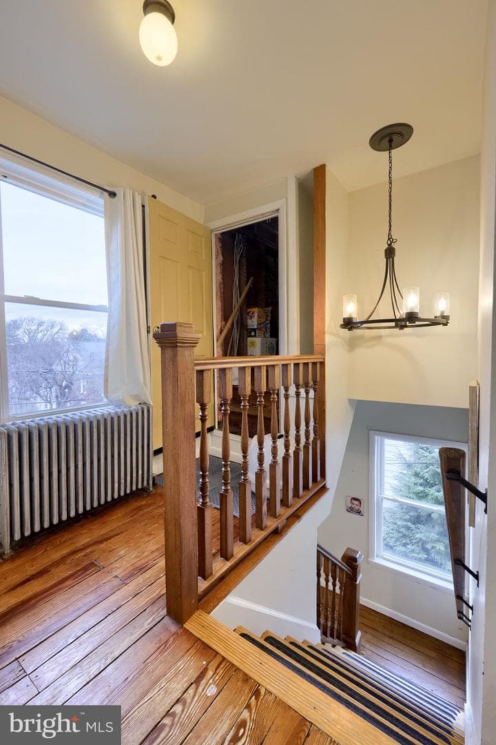 123 Murray Avenue photo 19