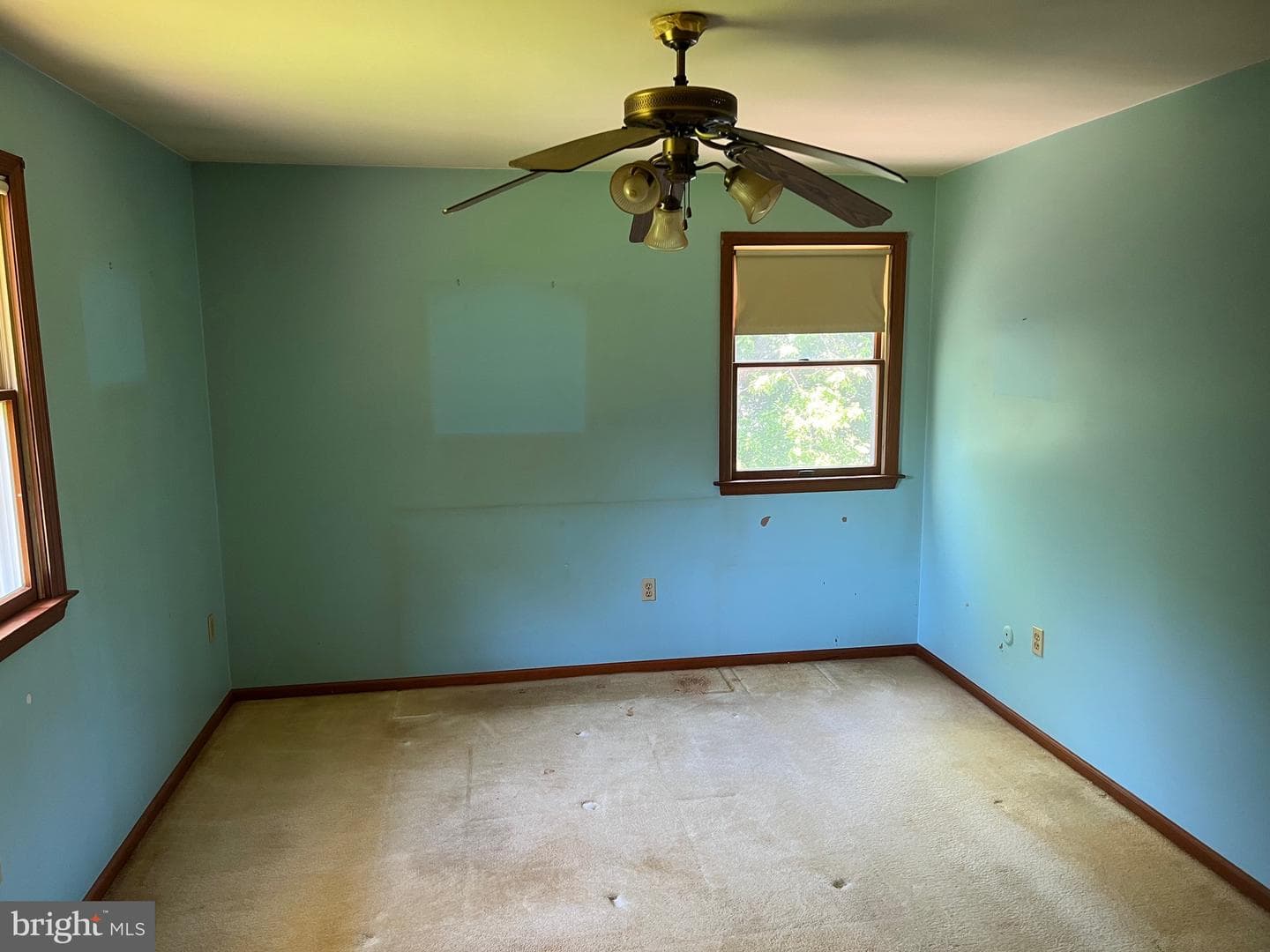 246 Waterway Road photo 15