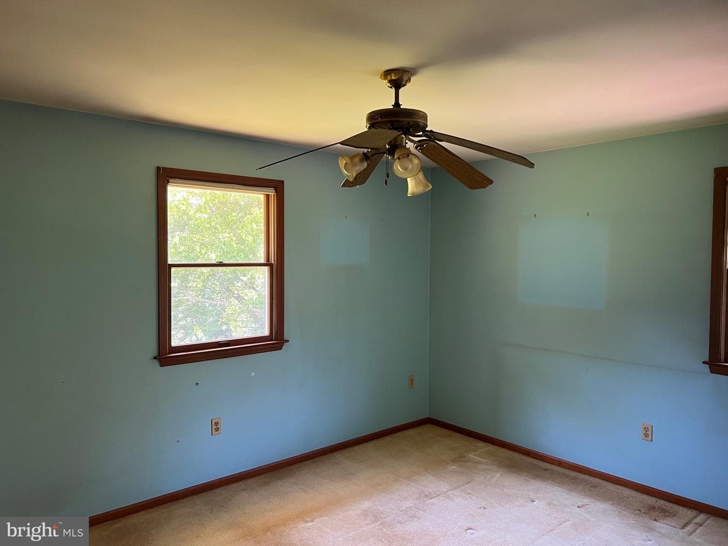 246 Waterway Road photo 17