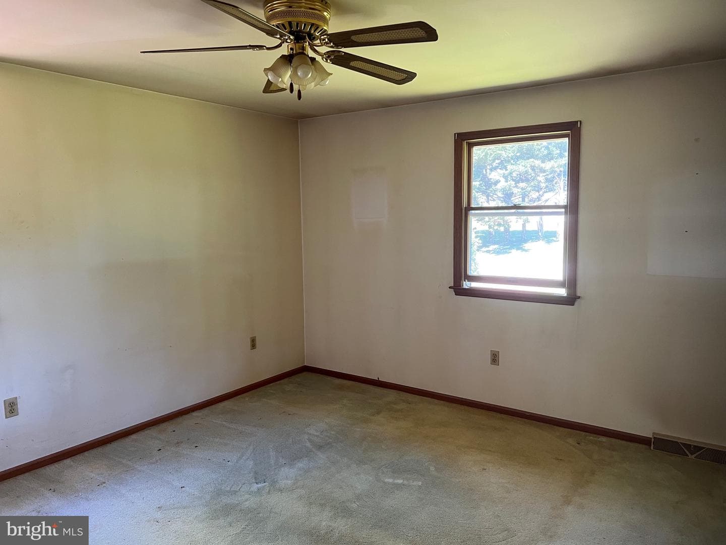 246 Waterway Road photo 18