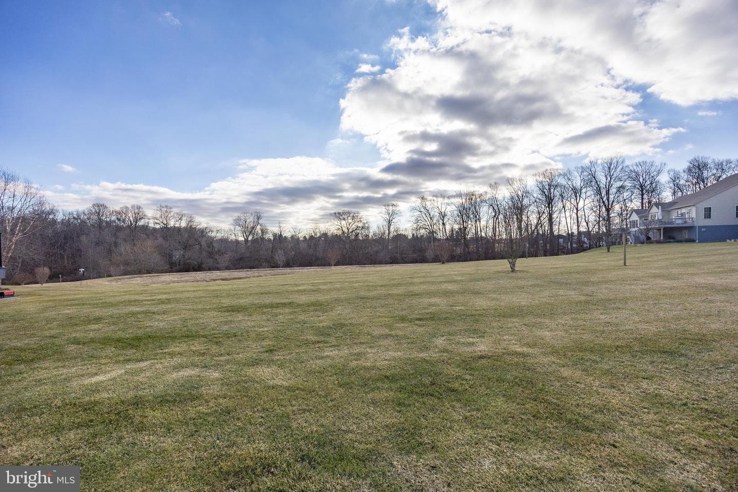 136 Honeycroft Boulevard photo 42