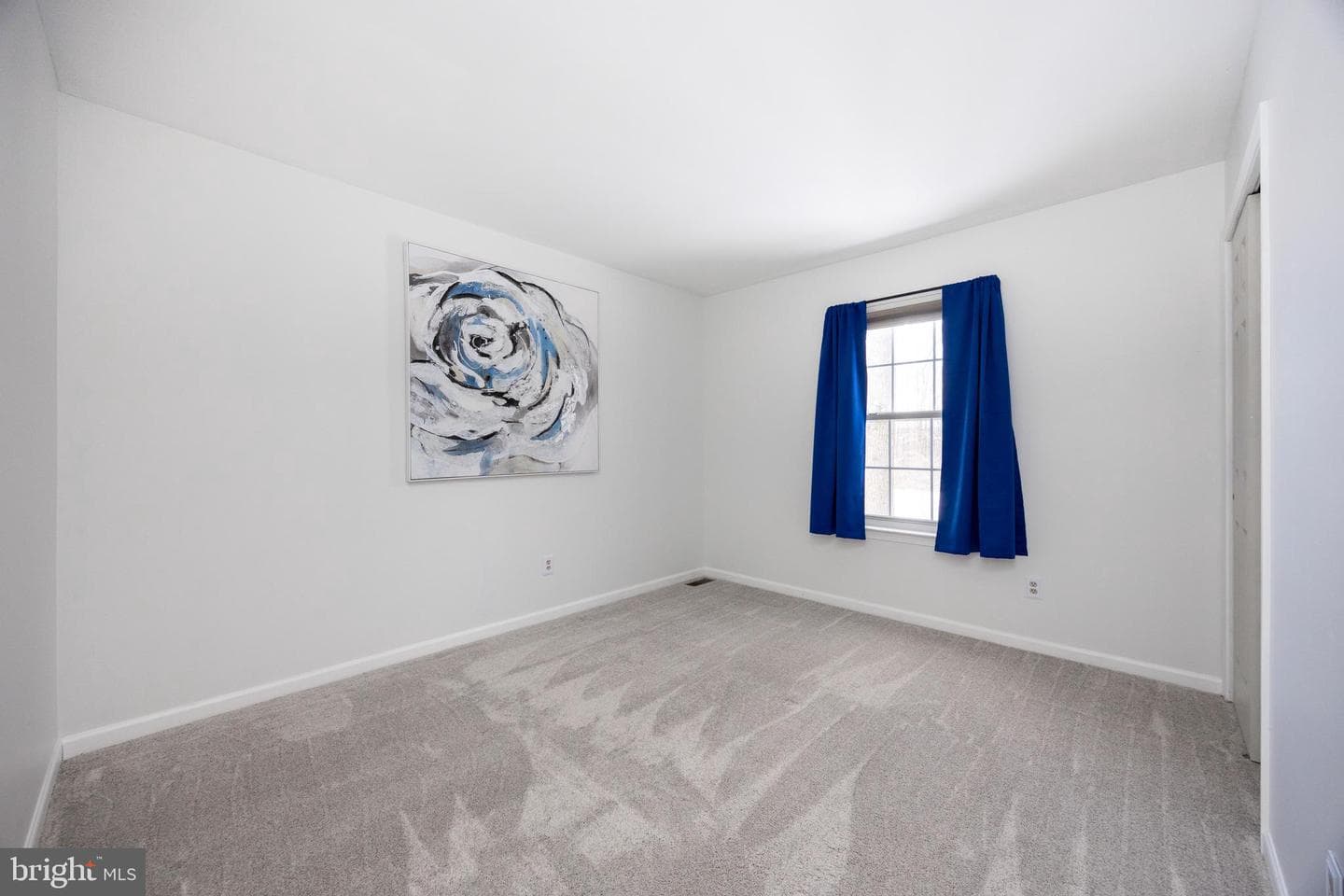 61 Pinckney Drive photo 30