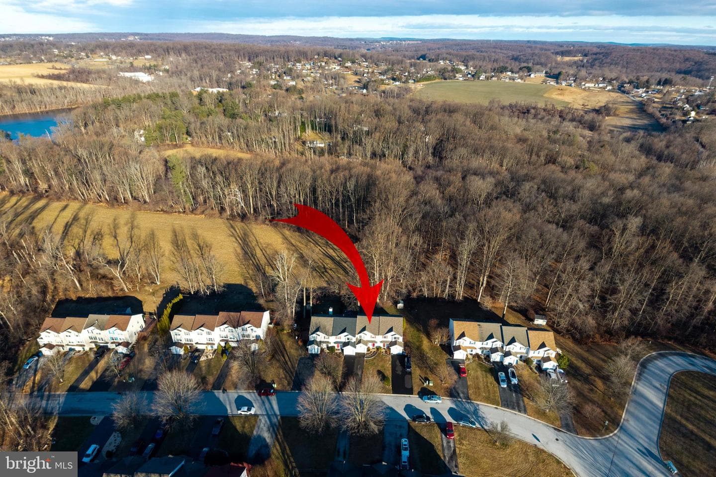 61 Pinckney Drive photo 8