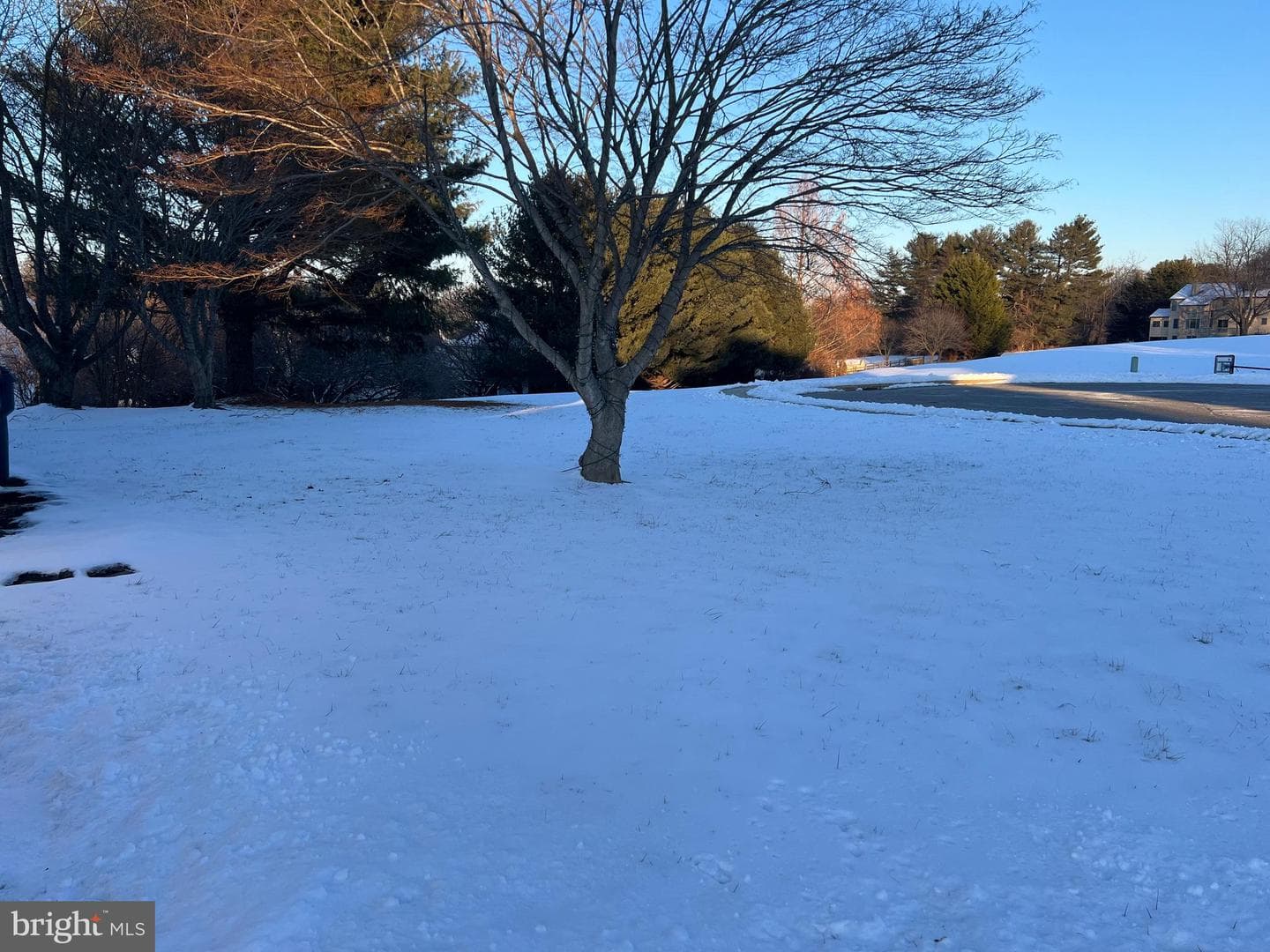 113 Midland Drive photo 29