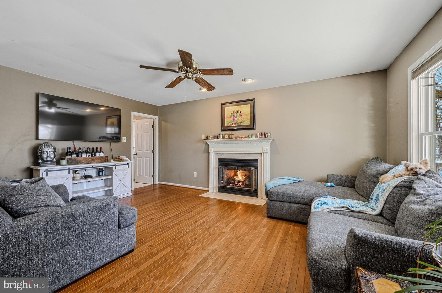 5 Roosevelt Way photo 16