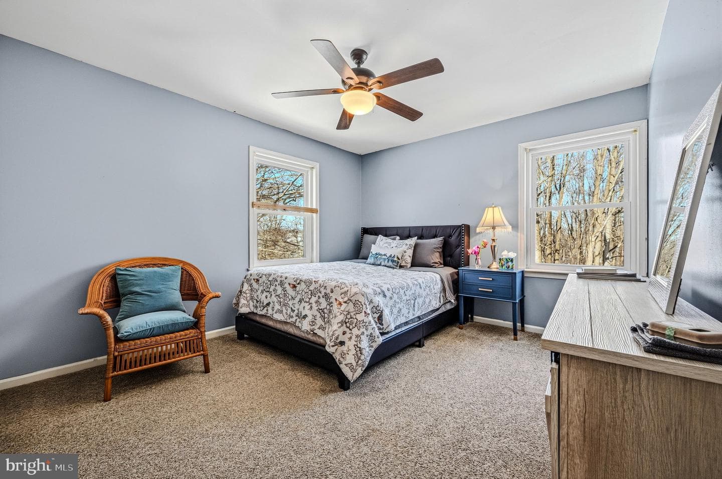 5 Roosevelt Way photo 32