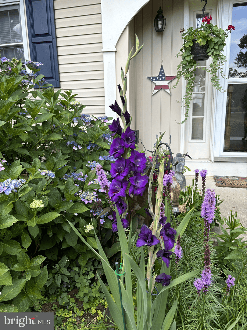 5 Roosevelt Way photo 47