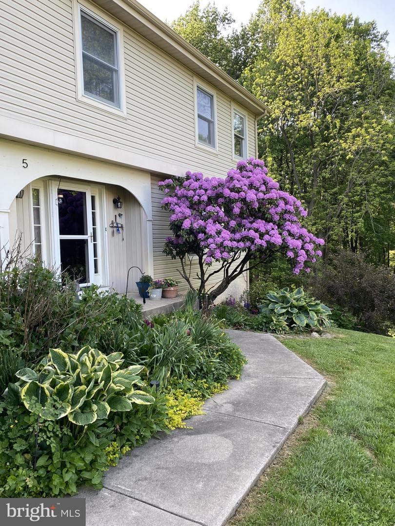 5 Roosevelt Way photo 48