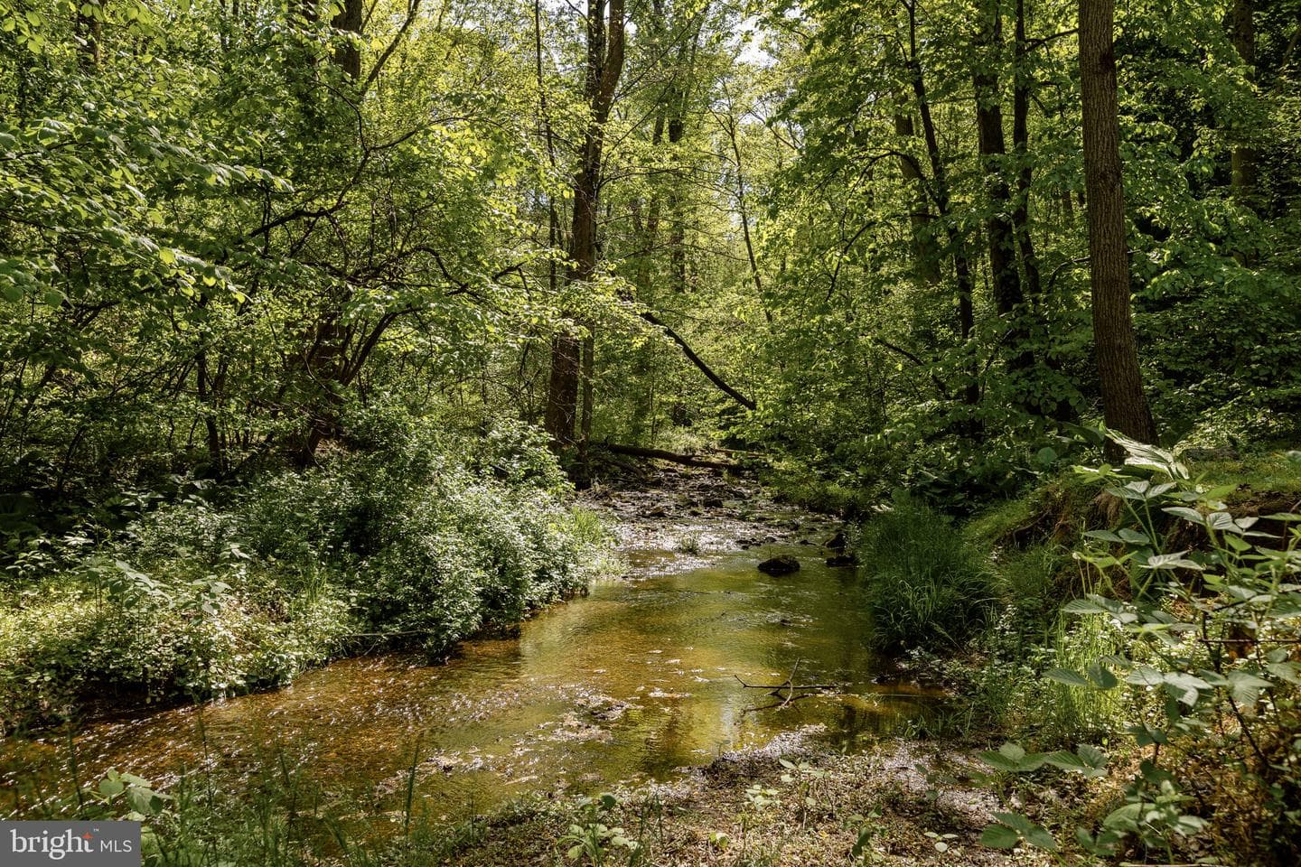 2800 Horseshoe Trail photo 73