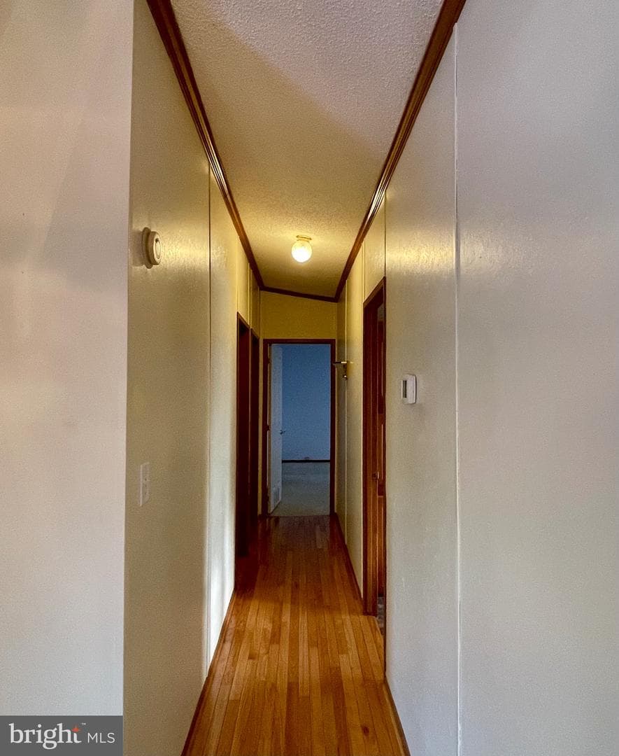 1026 Appleville Road photo 12