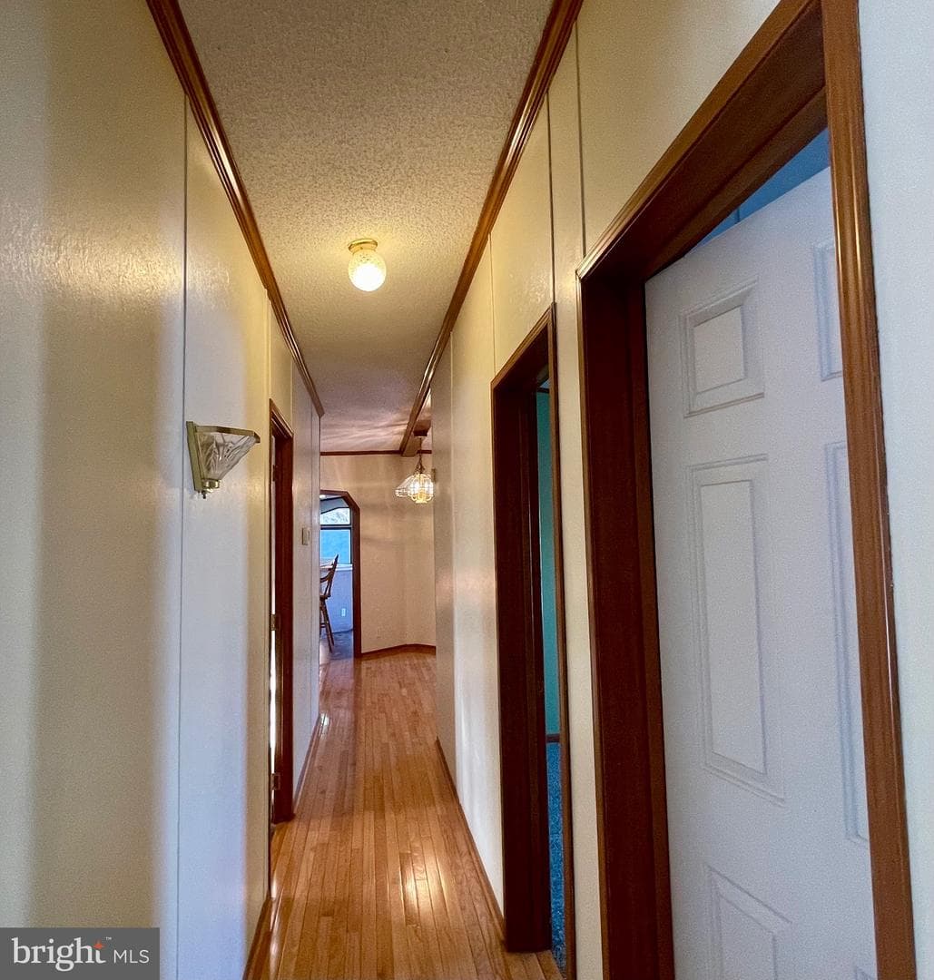 1026 Appleville Road photo 25