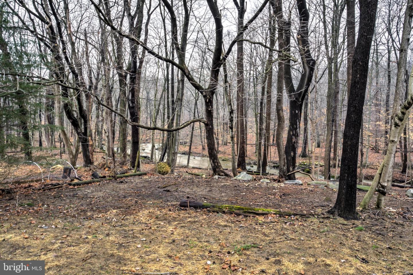 1831 Creek Road photo 4