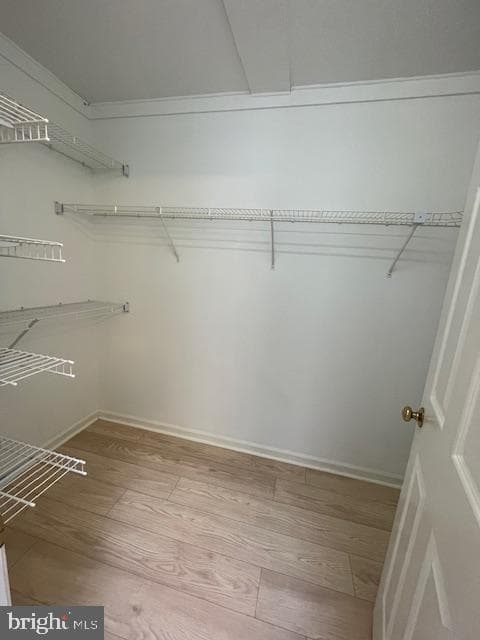 21 Meadowview Drive photo 12