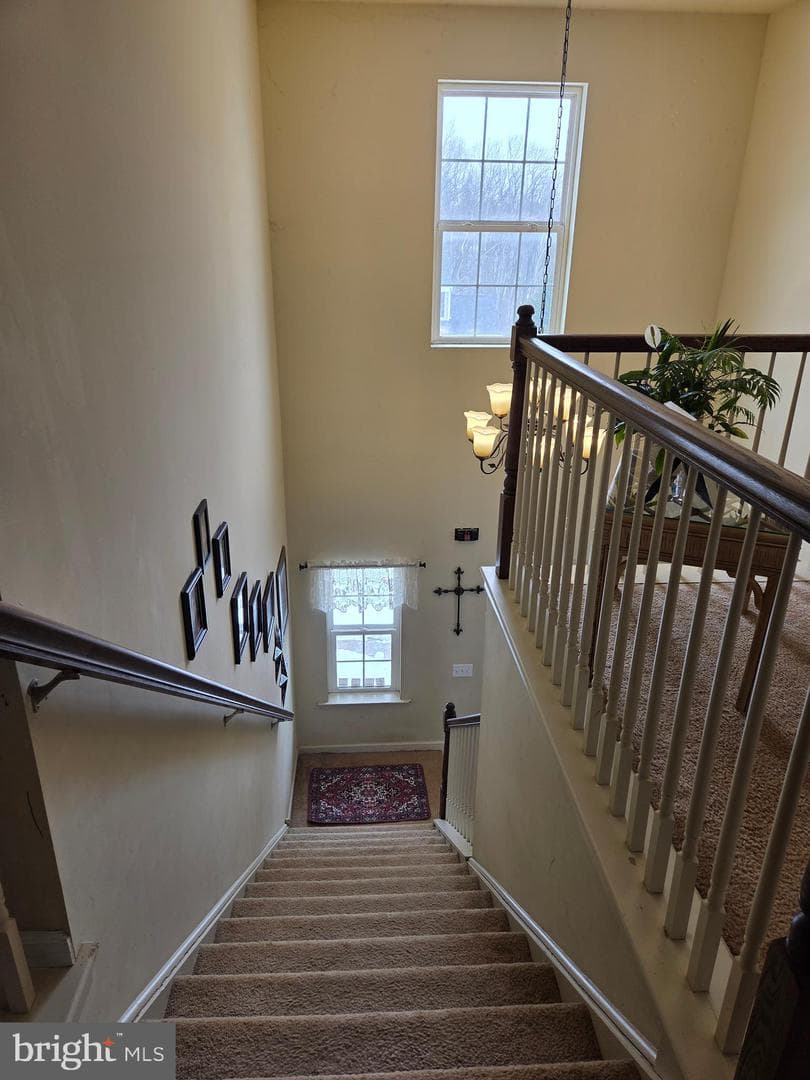 119 Burgundy Lane photo 8