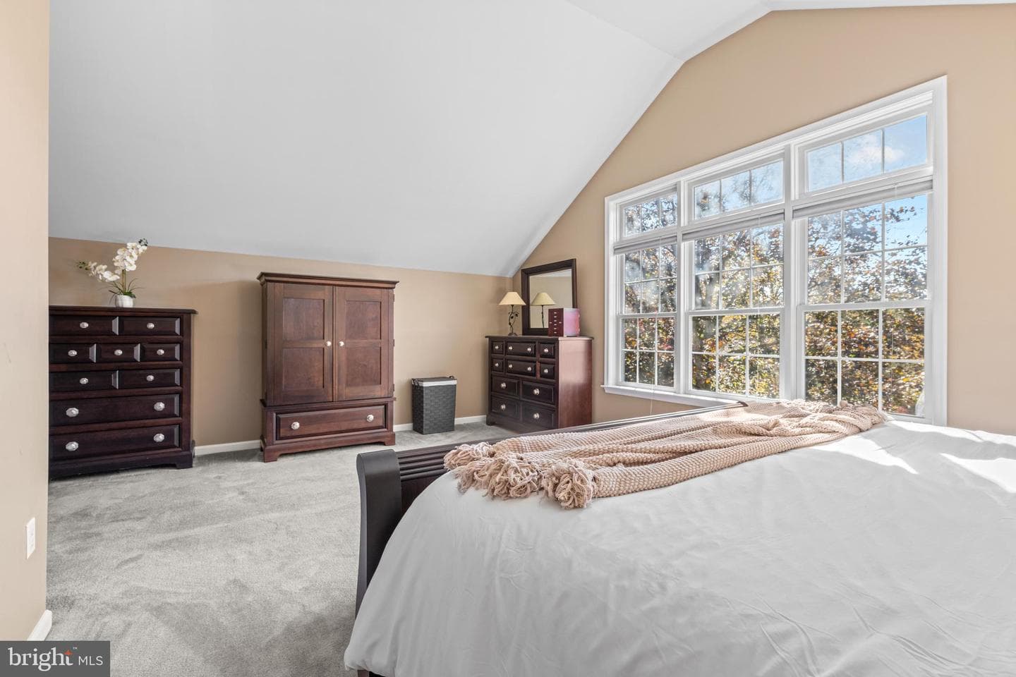 7 Richard Wilson Dr photo 28