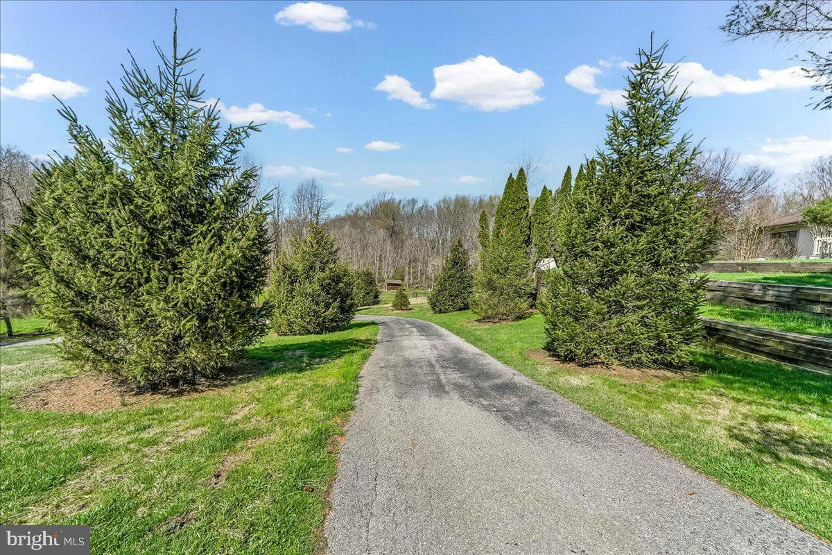 531 Chandler Mill Road photo 4