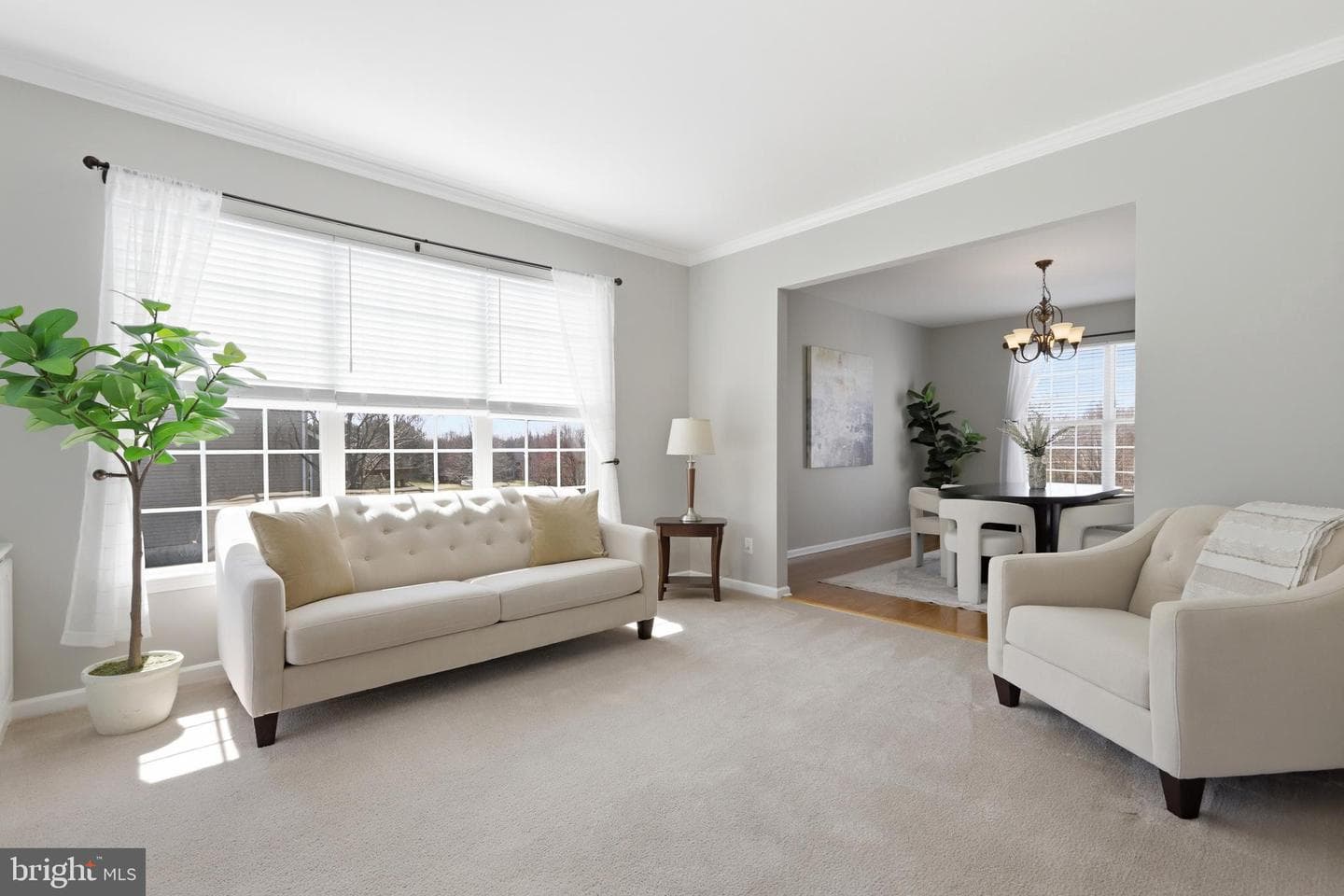 105 Preston Road photo 4