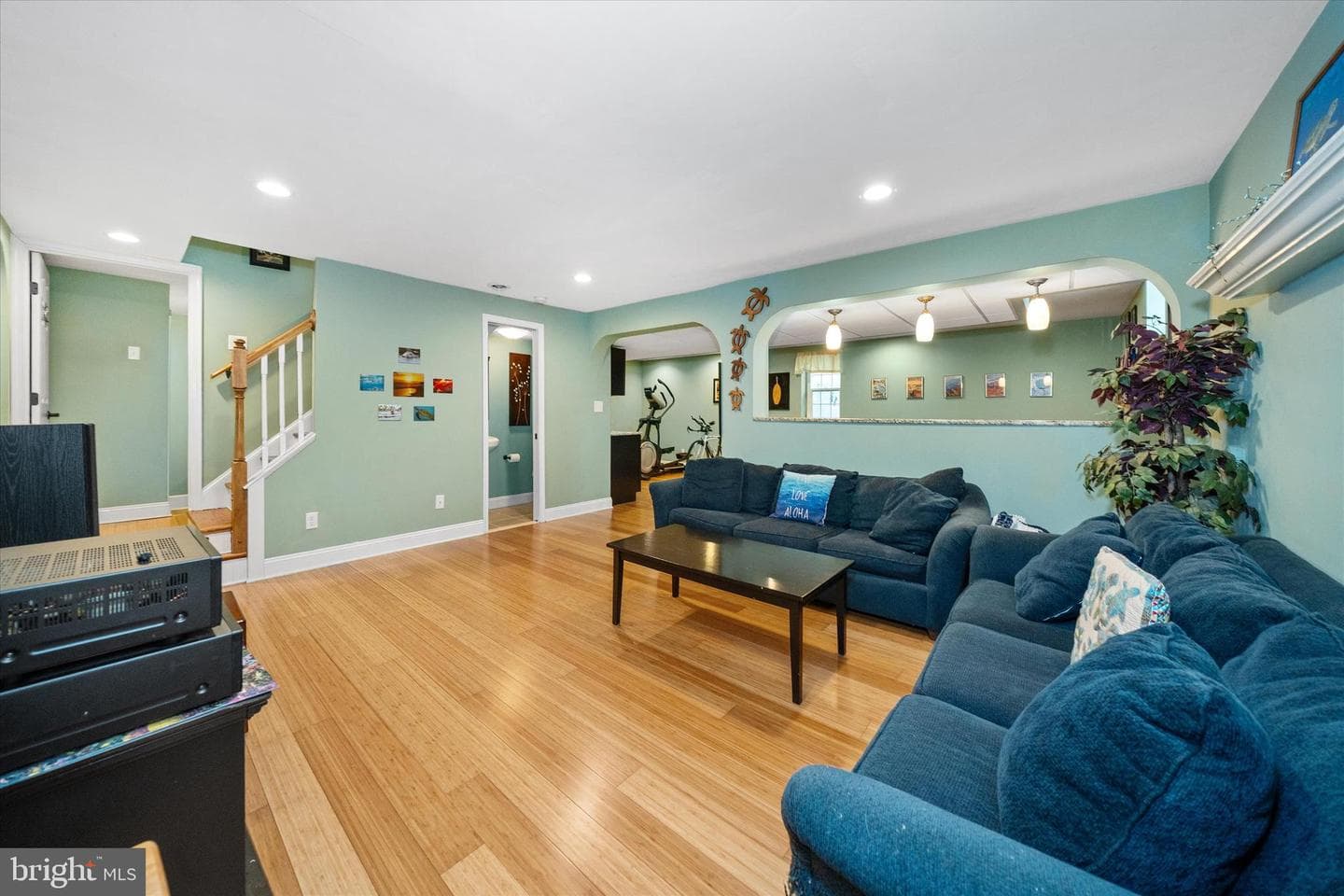 5 Ashlea Drive photo 39