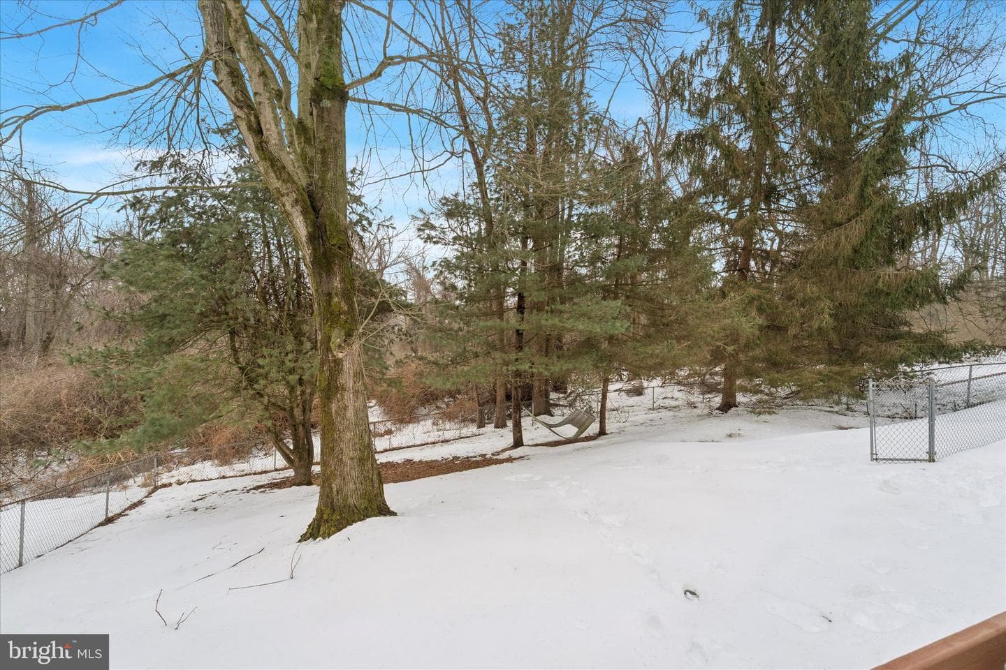 203 Katherine Lane photo 24