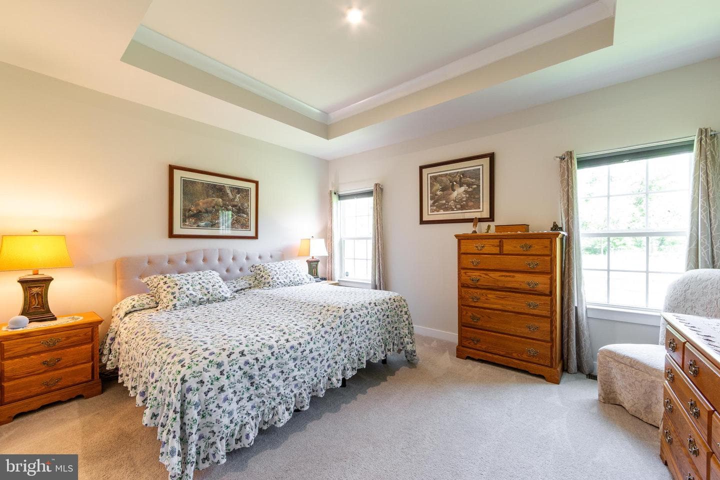 299 Letitia Manor Drive photo 20