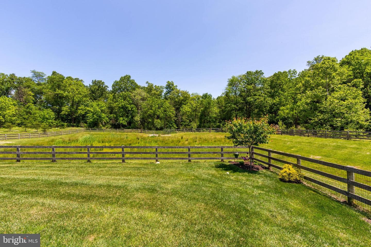 299 Letitia Manor Drive photo 29