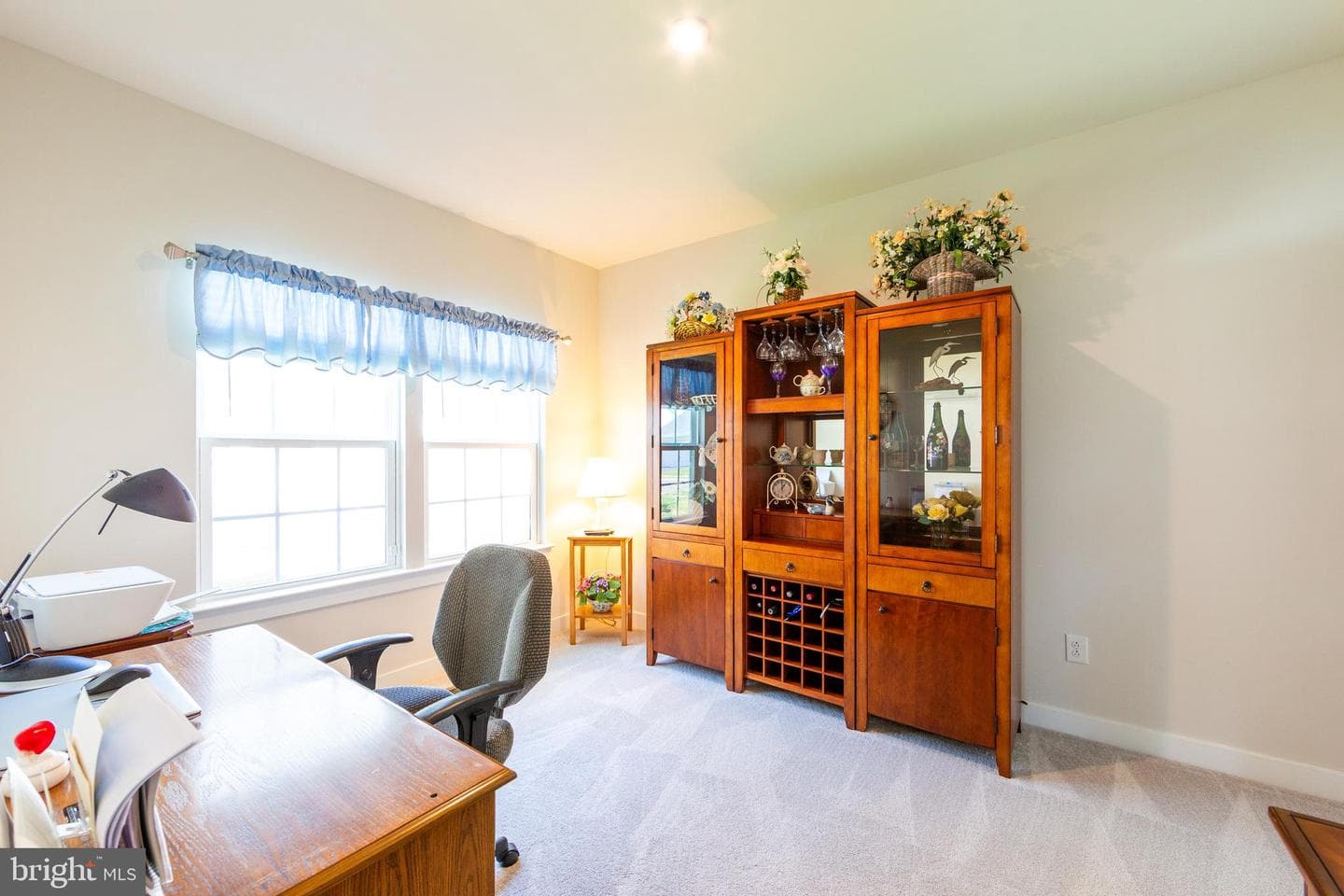 299 Letitia Manor Drive photo 7