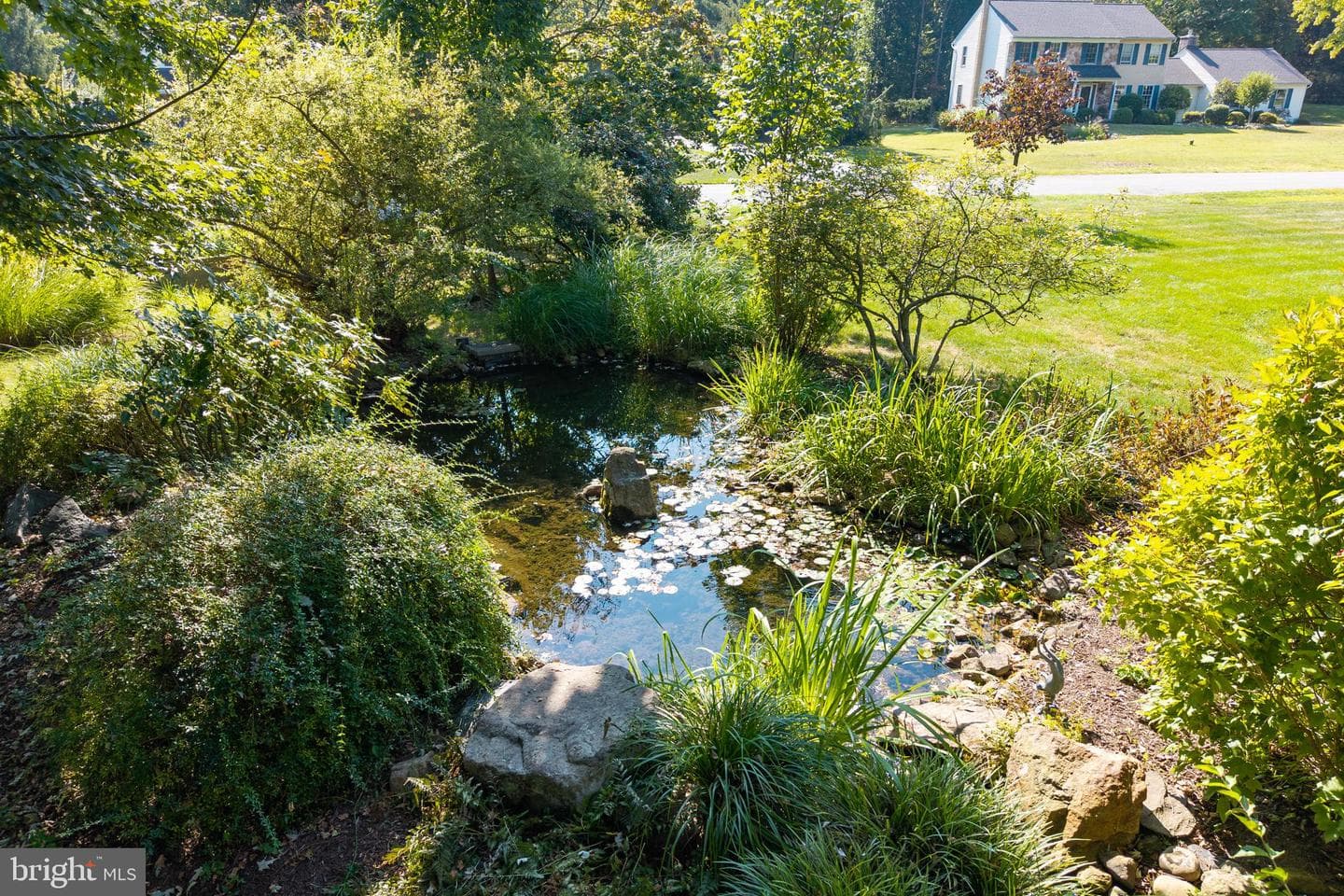 21 Lexington Manor photo 10