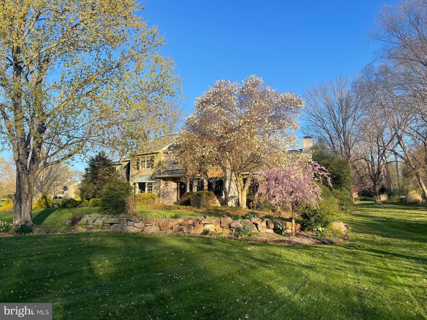 21 Lexington Manor photo 66