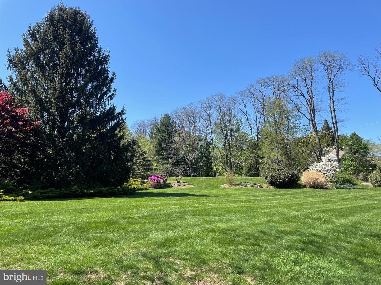 21 Lexington Manor photo 68