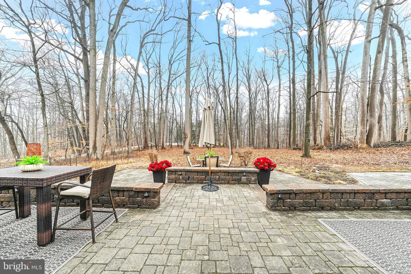 535 Webb Road photo 2