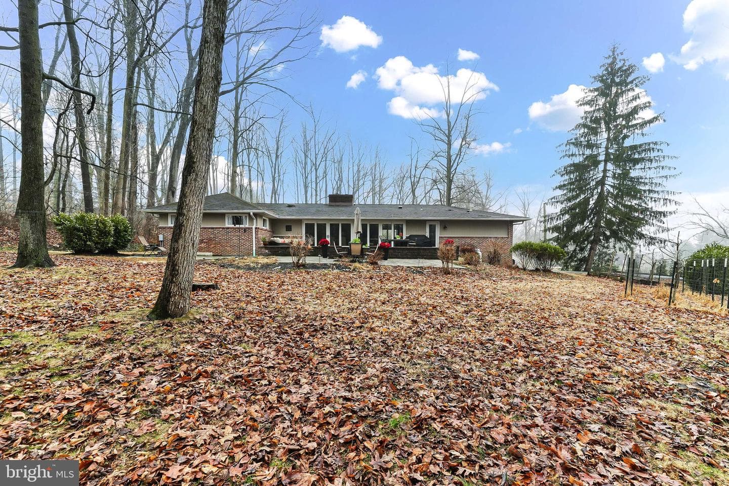 535 Webb Road photo 40