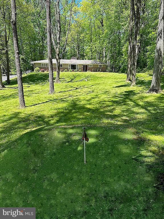 535 Webb Road photo 45