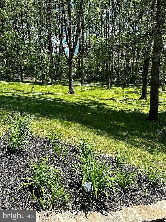 535 Webb Road photo 46