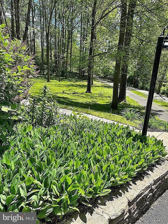 535 Webb Road photo 47