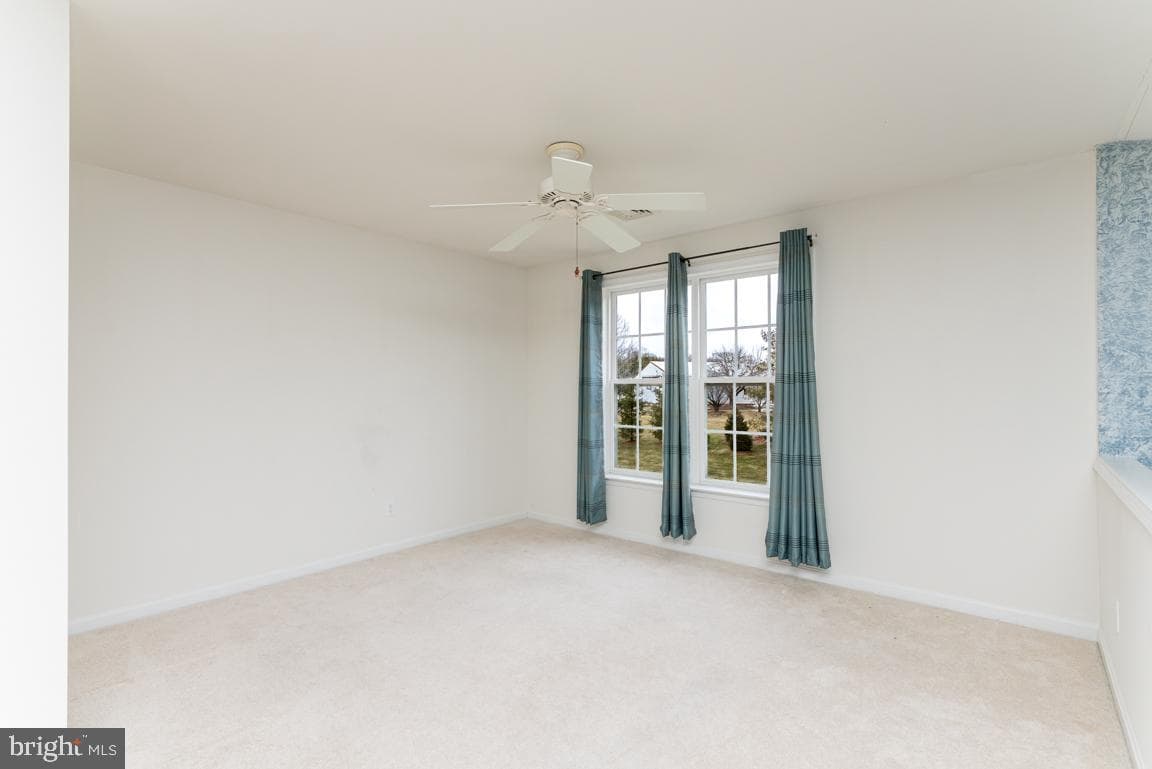 108 Petunia Drive photo 19