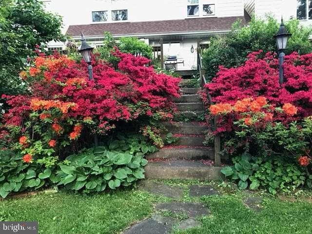9 Foxchase Road photo 68