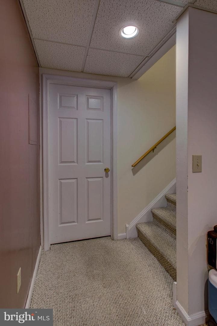 19 Ponds End Drive photo 41