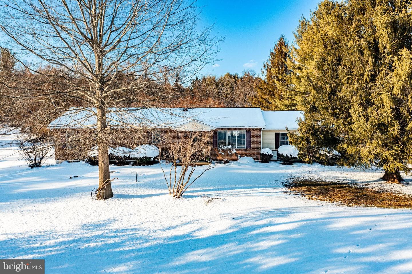 401 Marshall Road photo 1