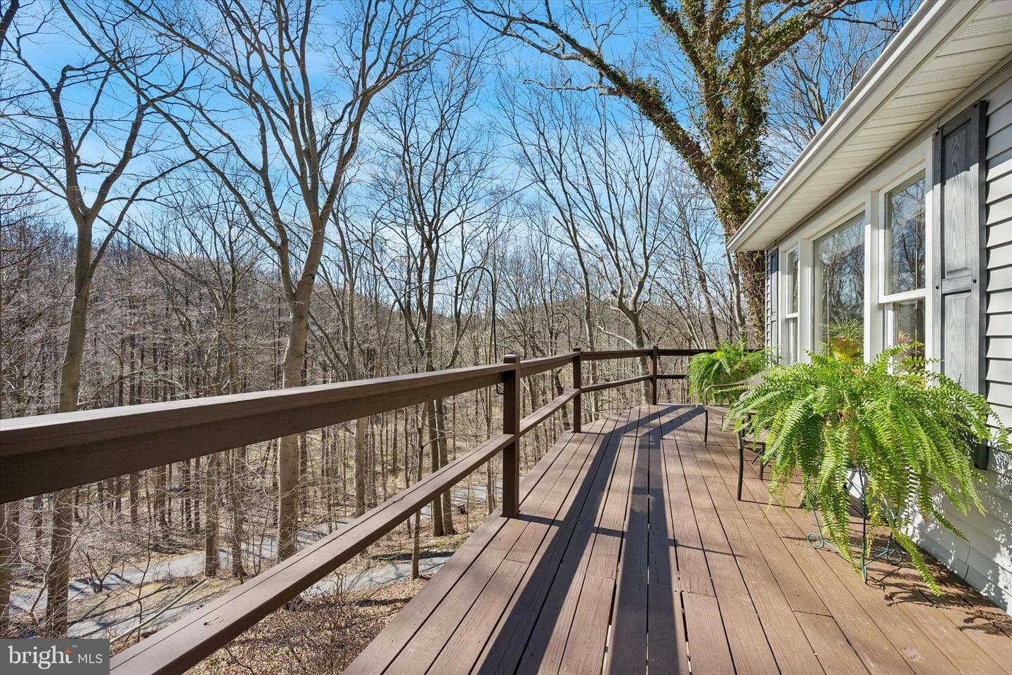 50 Timacula Road photo 24