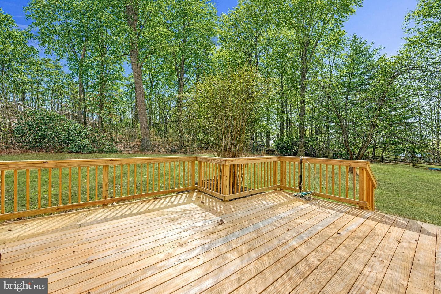 216 Mature Road photo 22
