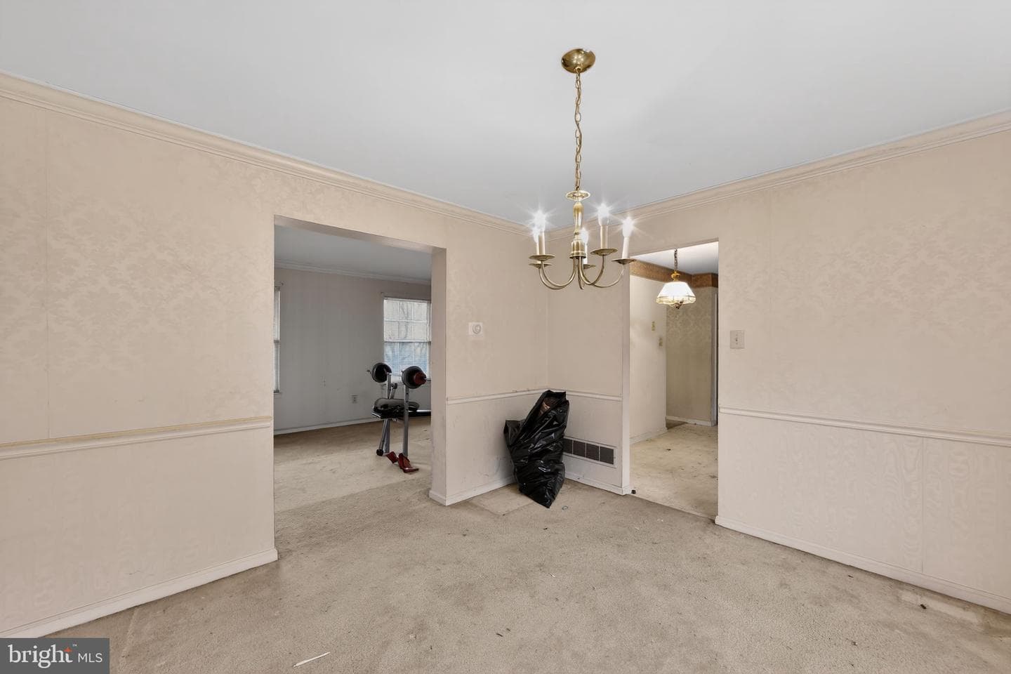 335 Trotters Way photo 15