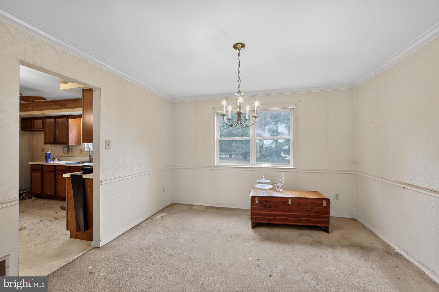 335 Trotters Way photo 16