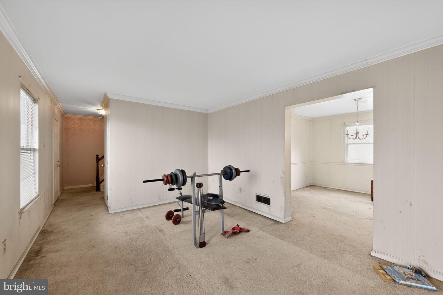 335 Trotters Way photo 18