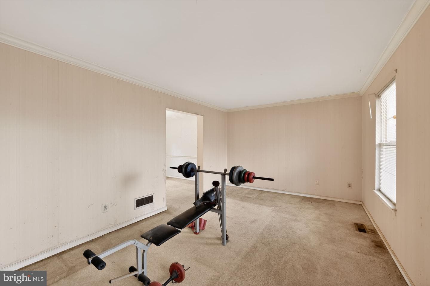 335 Trotters Way photo 19