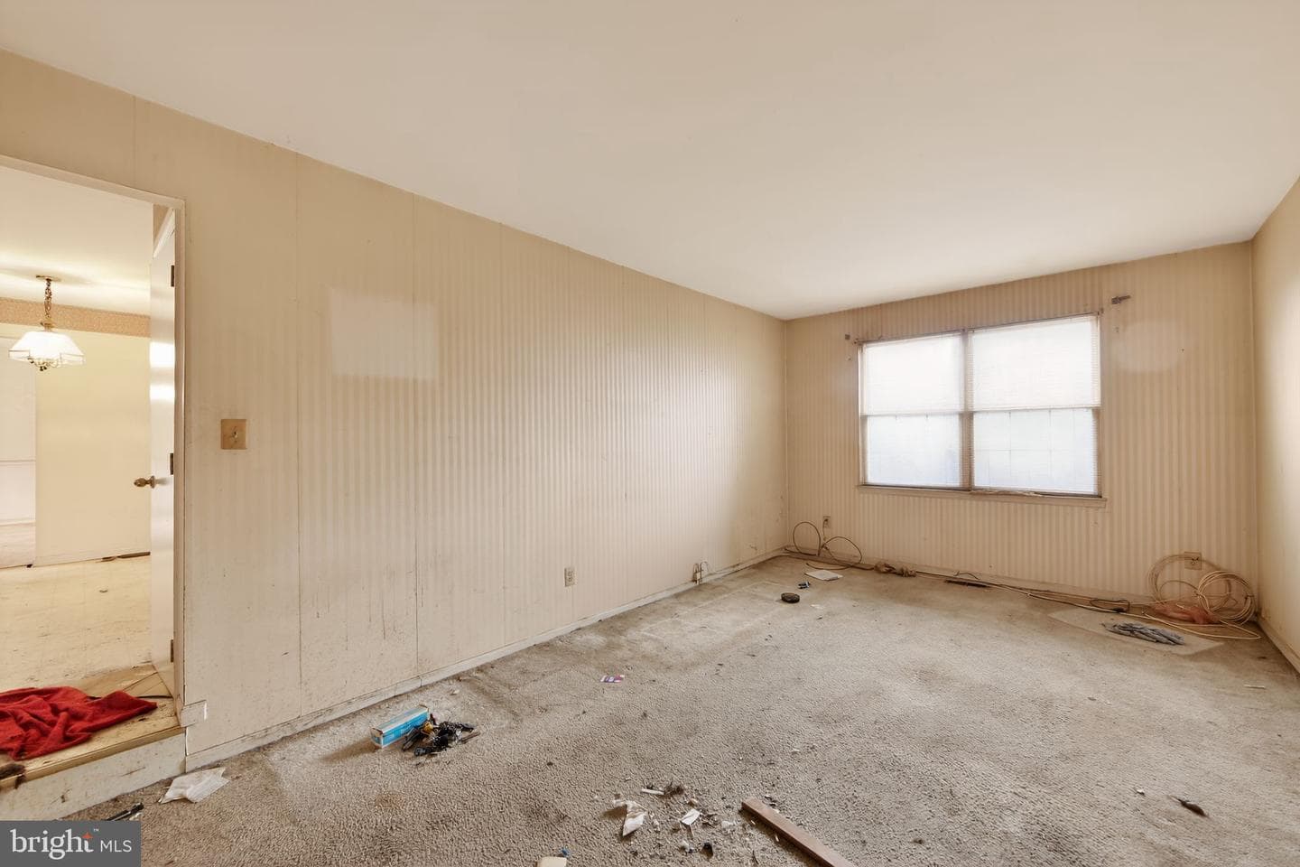 335 Trotters Way photo 21