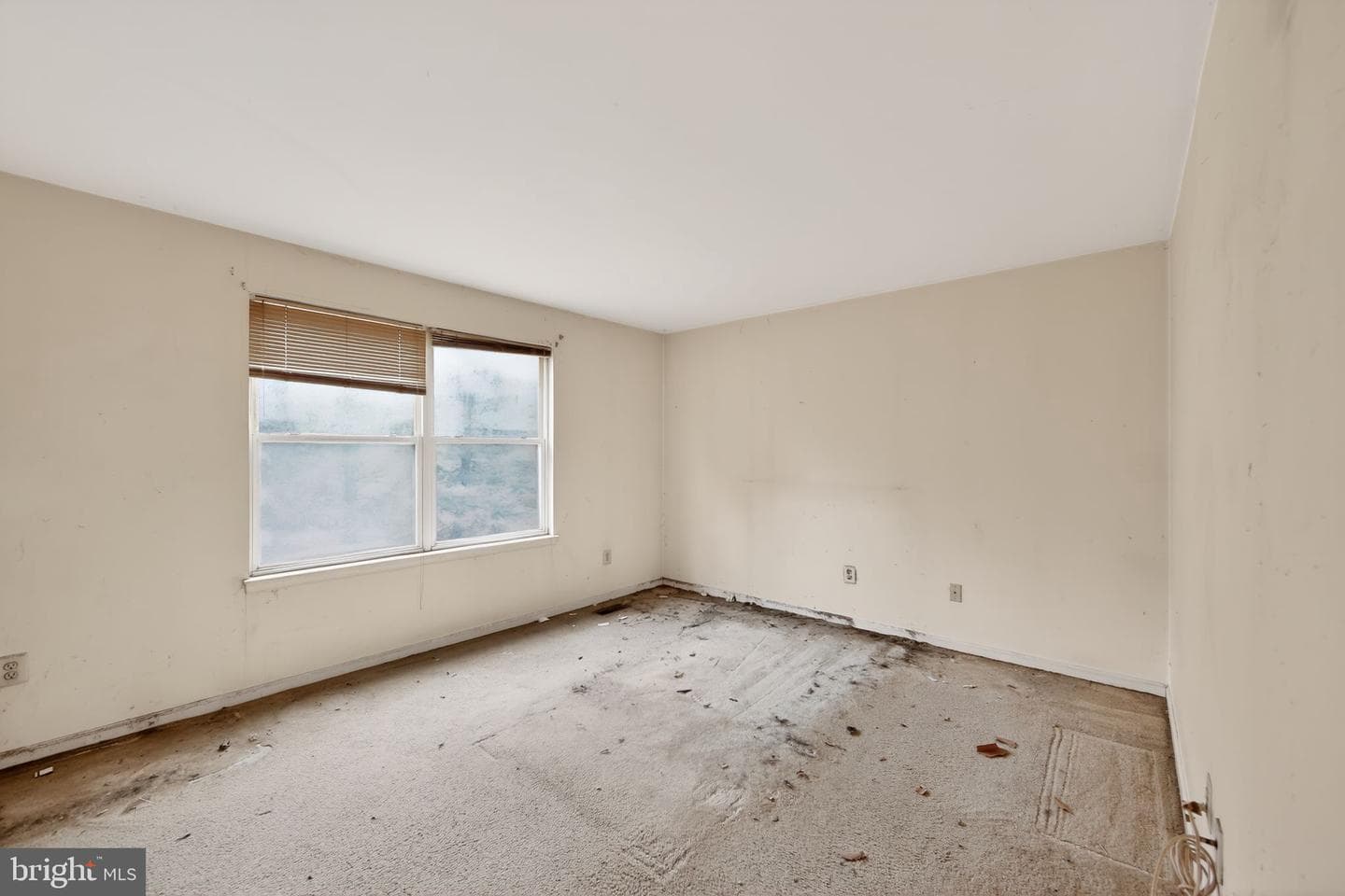335 Trotters Way photo 25