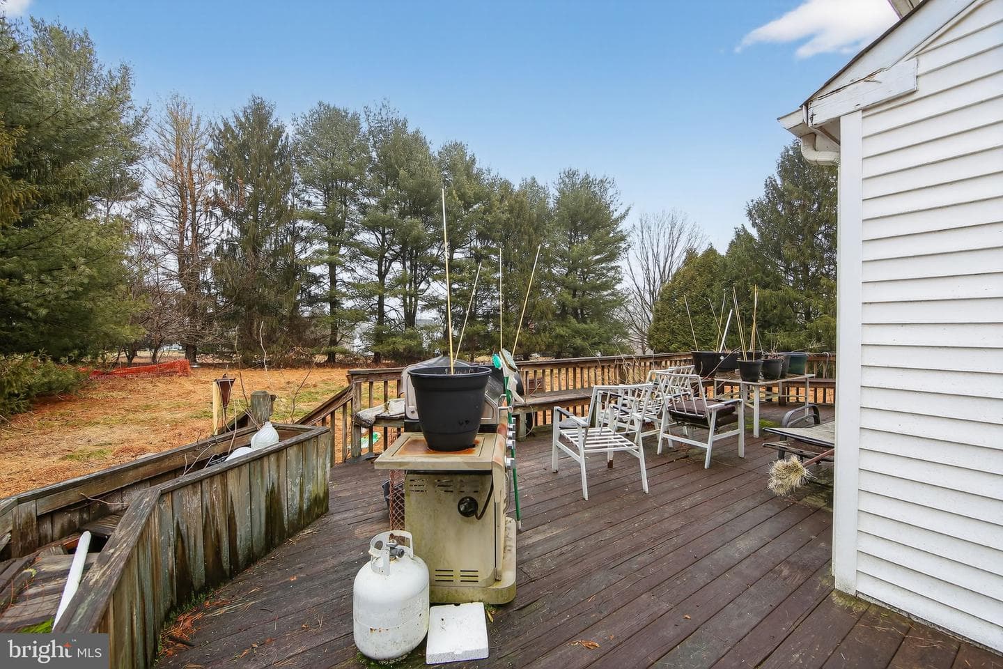335 Trotters Way photo 6