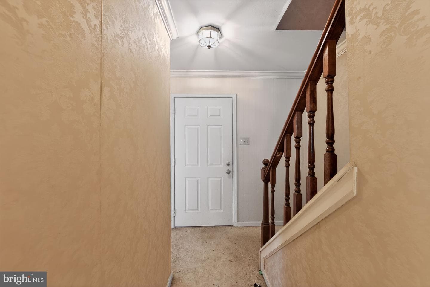 335 Trotters Way photo 9
