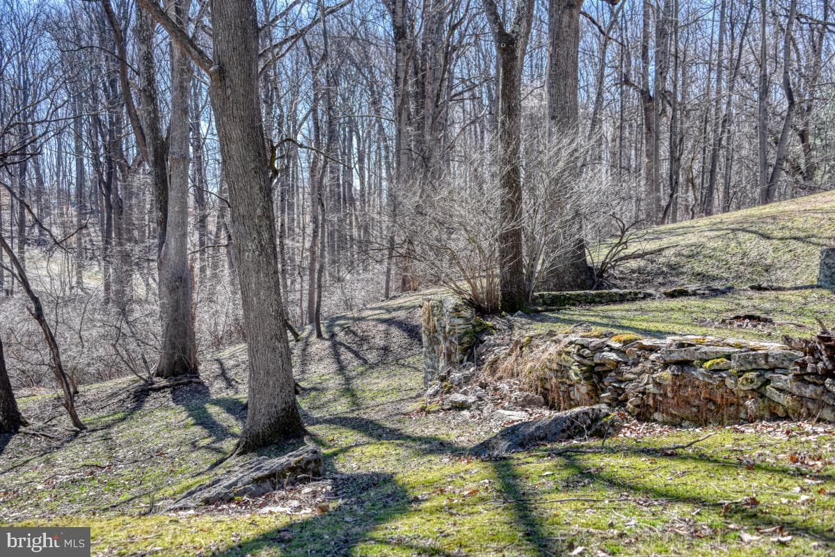 650 Spruce Drive photo 41