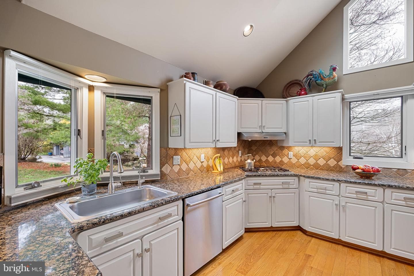 47 Clifton Drive photo 19